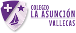 Colegio La Asunción Vallecas
